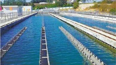 کلر باقی مانده چیست و چه اثری دارد؟